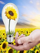 思源電氣首次覆蓋深度報(bào)告：民營(yíng)電網(wǎng)設(shè)備龍頭，業(yè)績(jī)多年穩(wěn)定增長(zhǎng)